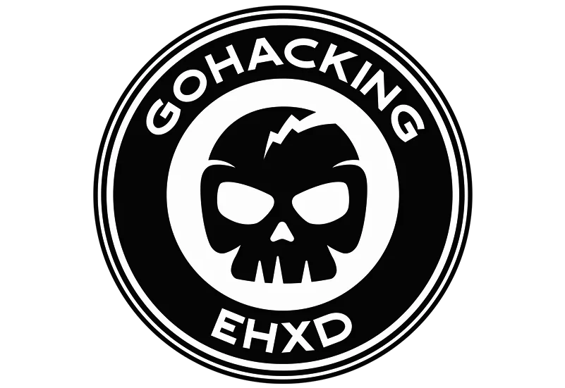 Ethical Hacking Exploit Development